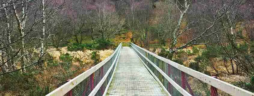 Wicklow