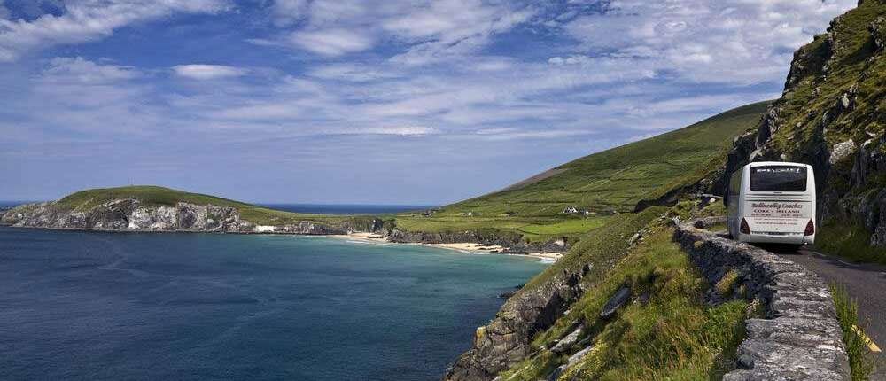Le compagnie di Autobus