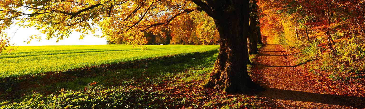 Autunno in Irlanda tra la magia del foliage