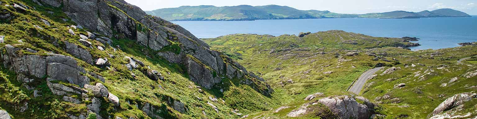 Beara