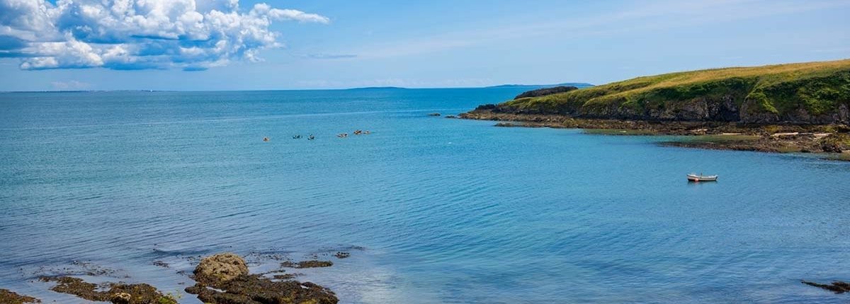 Contea di Wexford