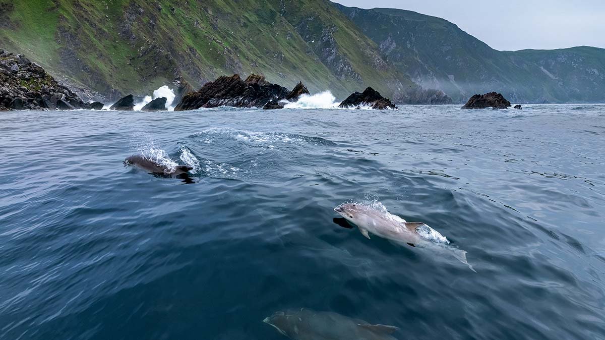 Inishowen La Penisola di Inishowen