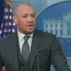 Conor McGregor si candida alla presidenza dell’Irlanda, grazie a Trump
