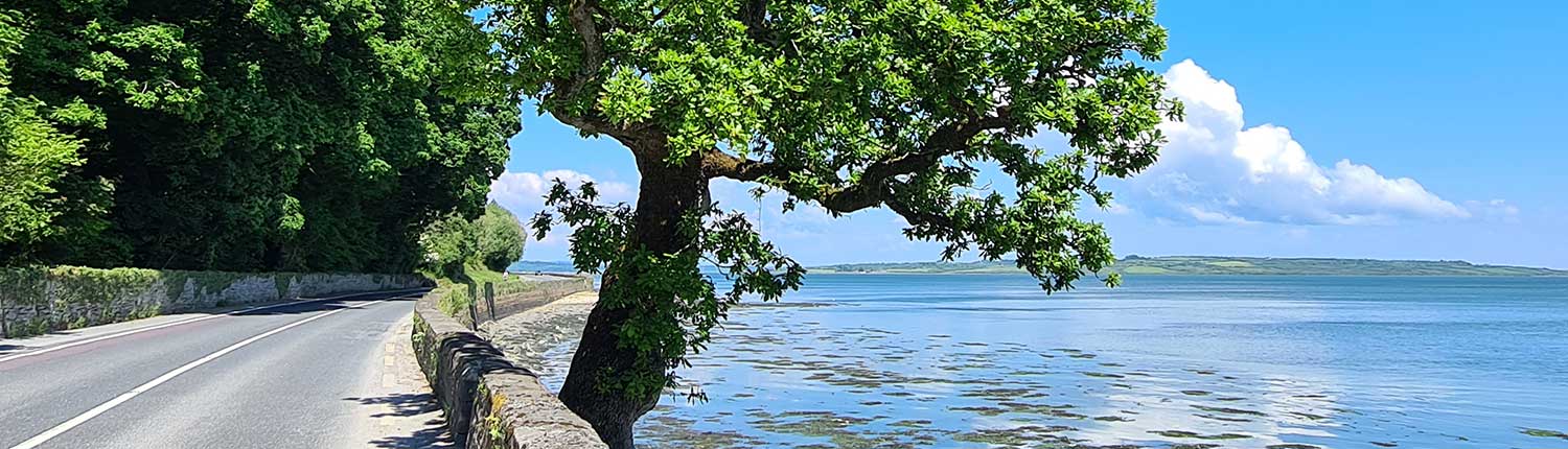 road Wishing Tree Tarbert