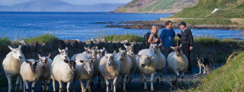 Cushendun from Torr Head Road, Ballycastle, Co. Antrim