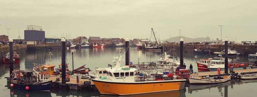 howth, Porto e il Villaggio di Pescatori howth, Porto e il Villaggio di Pescatori