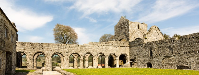 Boyle Abbey