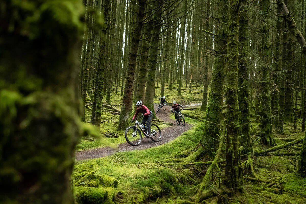 Davagh Forest Mountain Bike Trail, Co, Tyrone
