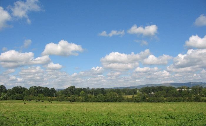 Golden Vale