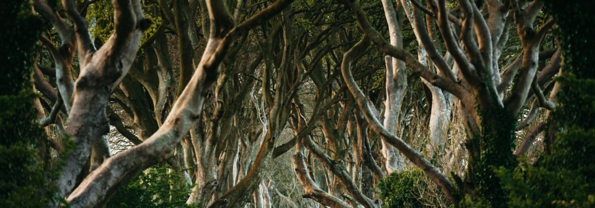Scarica Sfondo Dark Hedges